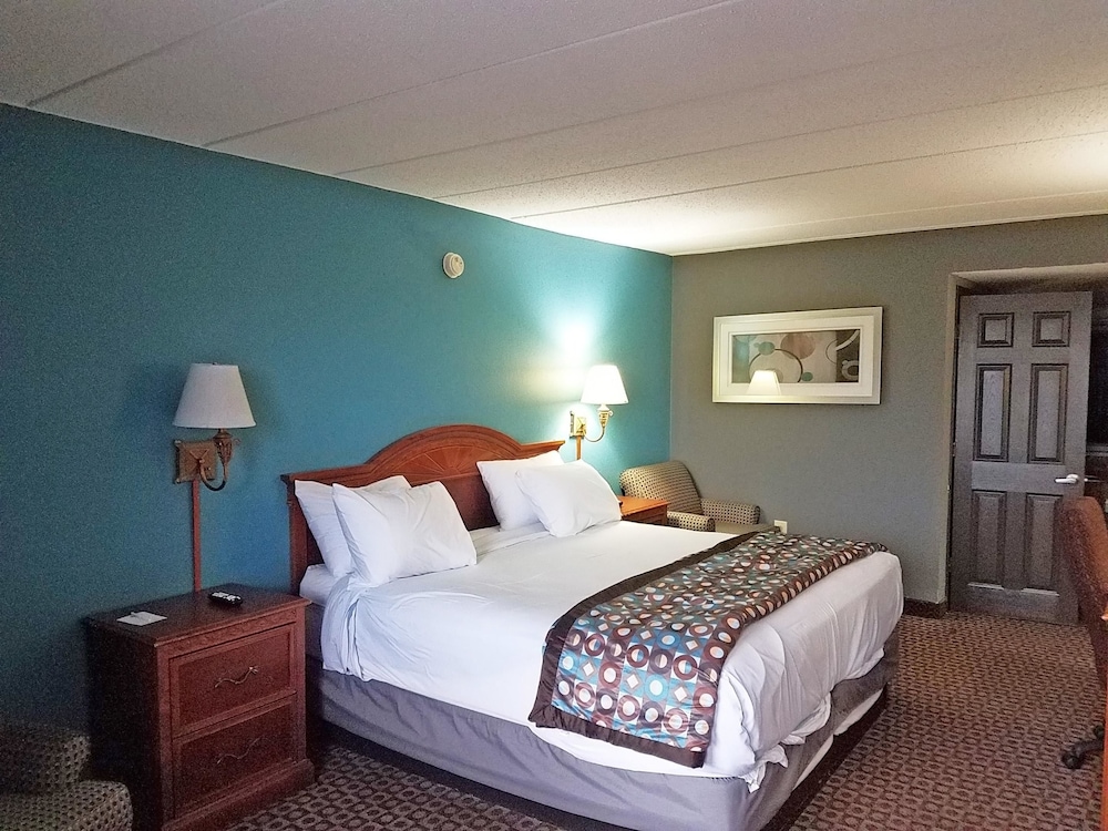 ROOM, KING BED, SMOKING