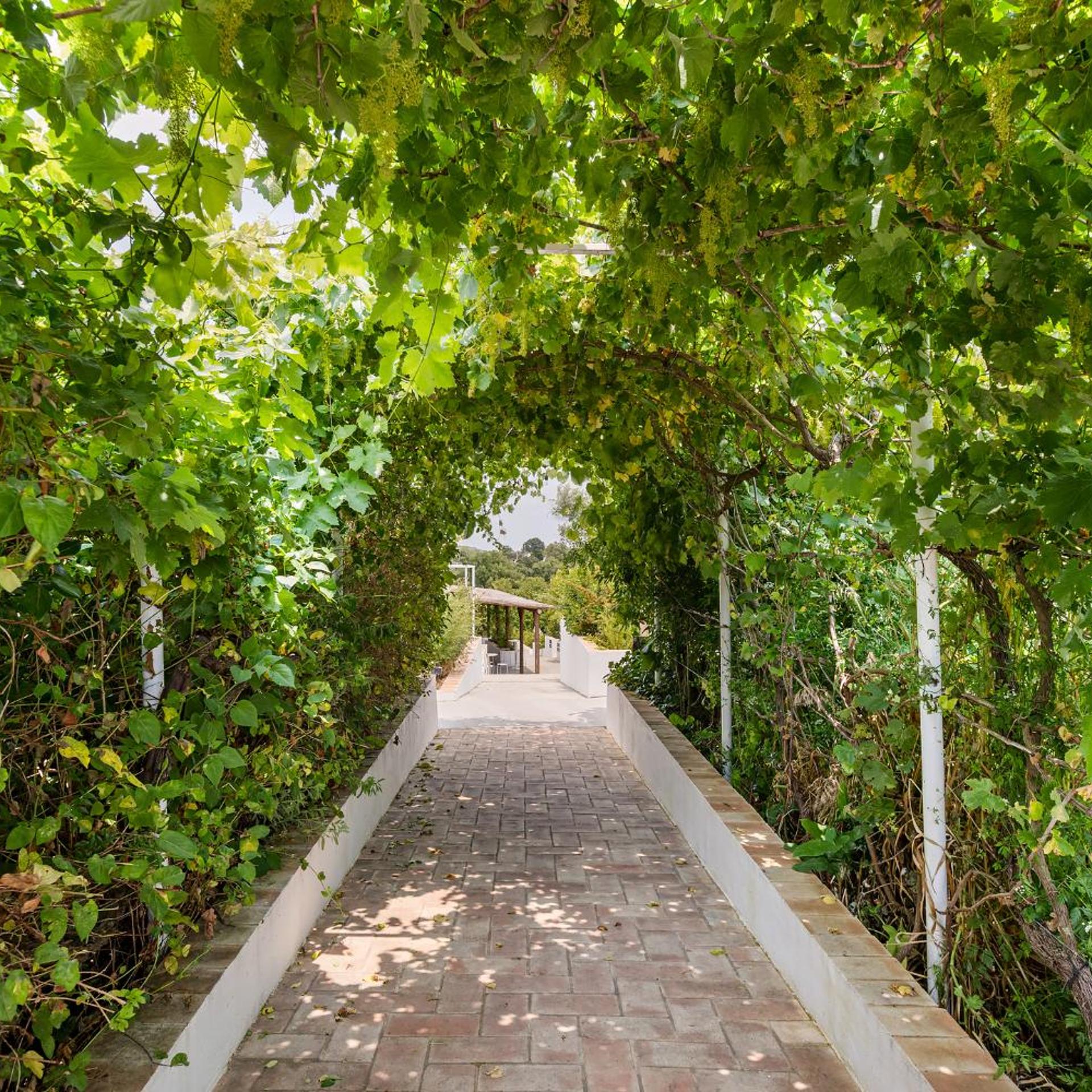 Gandum Village Conscious Boutique Hotel 41/50