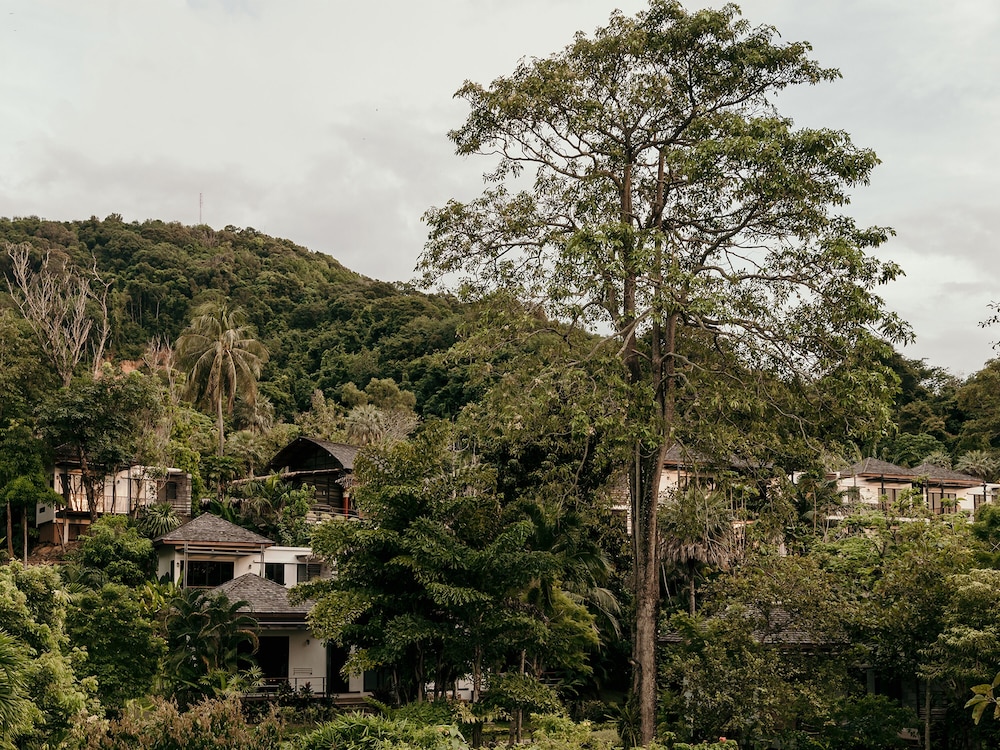 surroundings