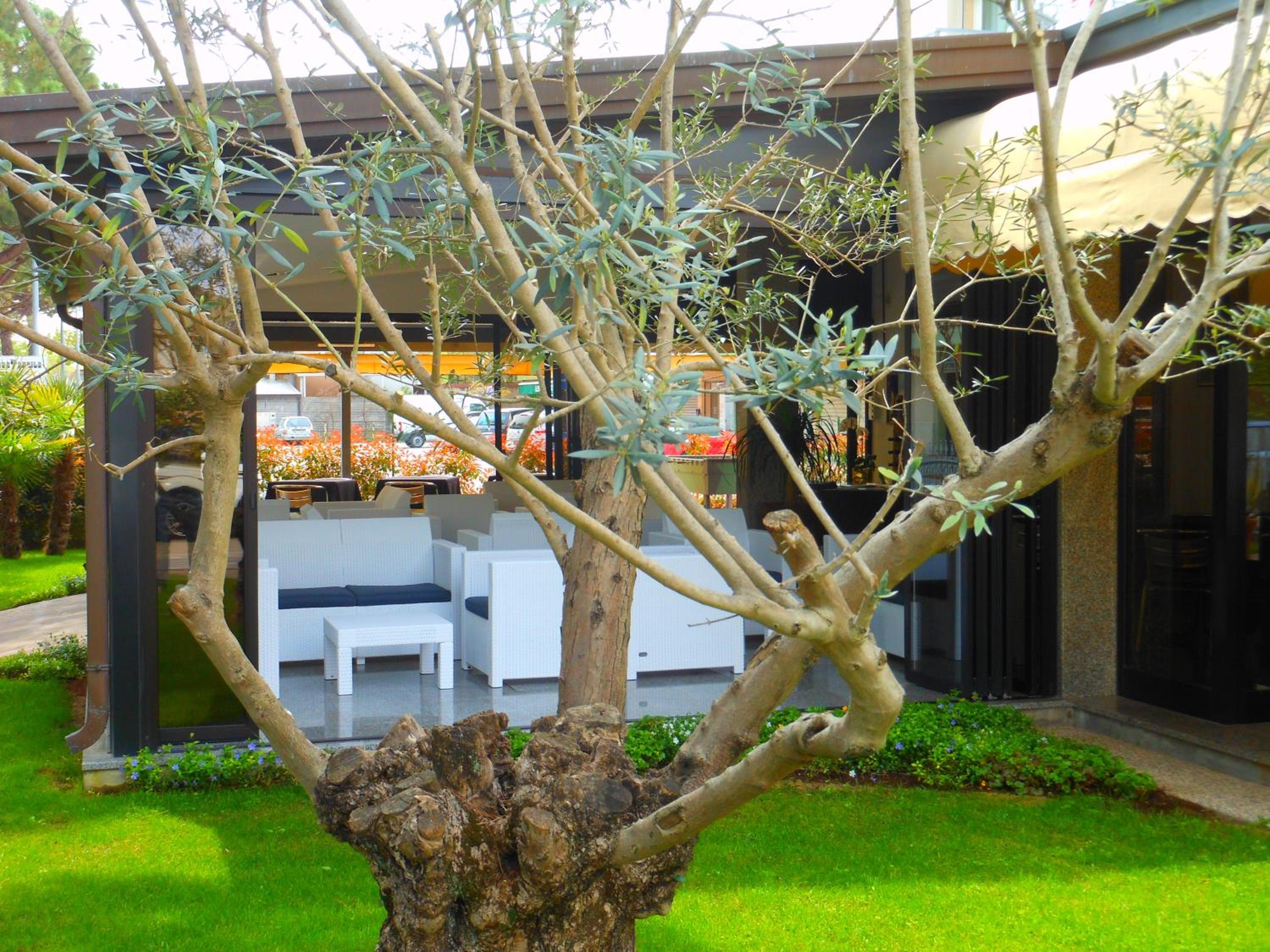 HOTEL JESOLO SAND 50/53