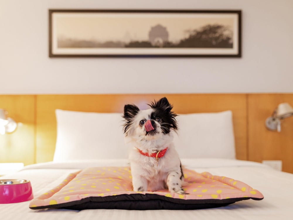 Ibis Chennai Omr 7/47