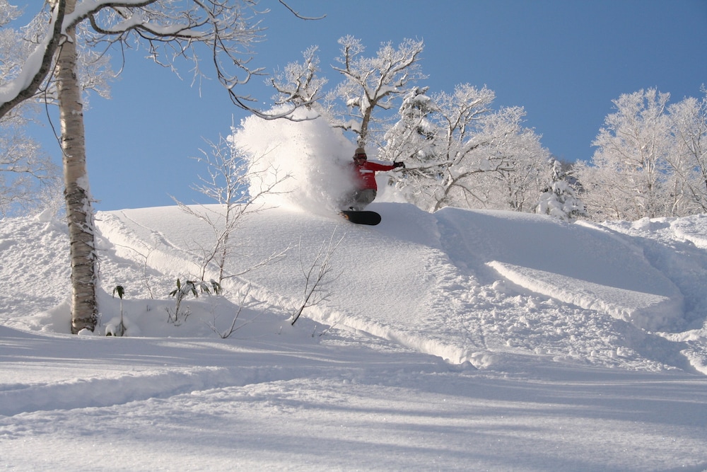 FURANO NATULUX HOTEL 41/50