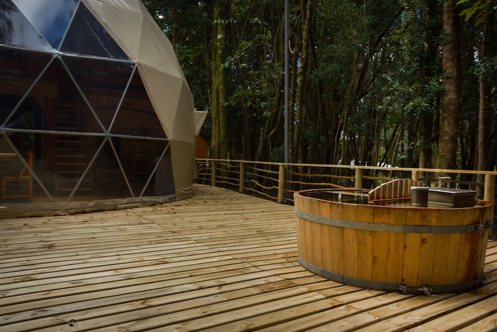 Cabanas Anulen Bosque Nativo 24/49