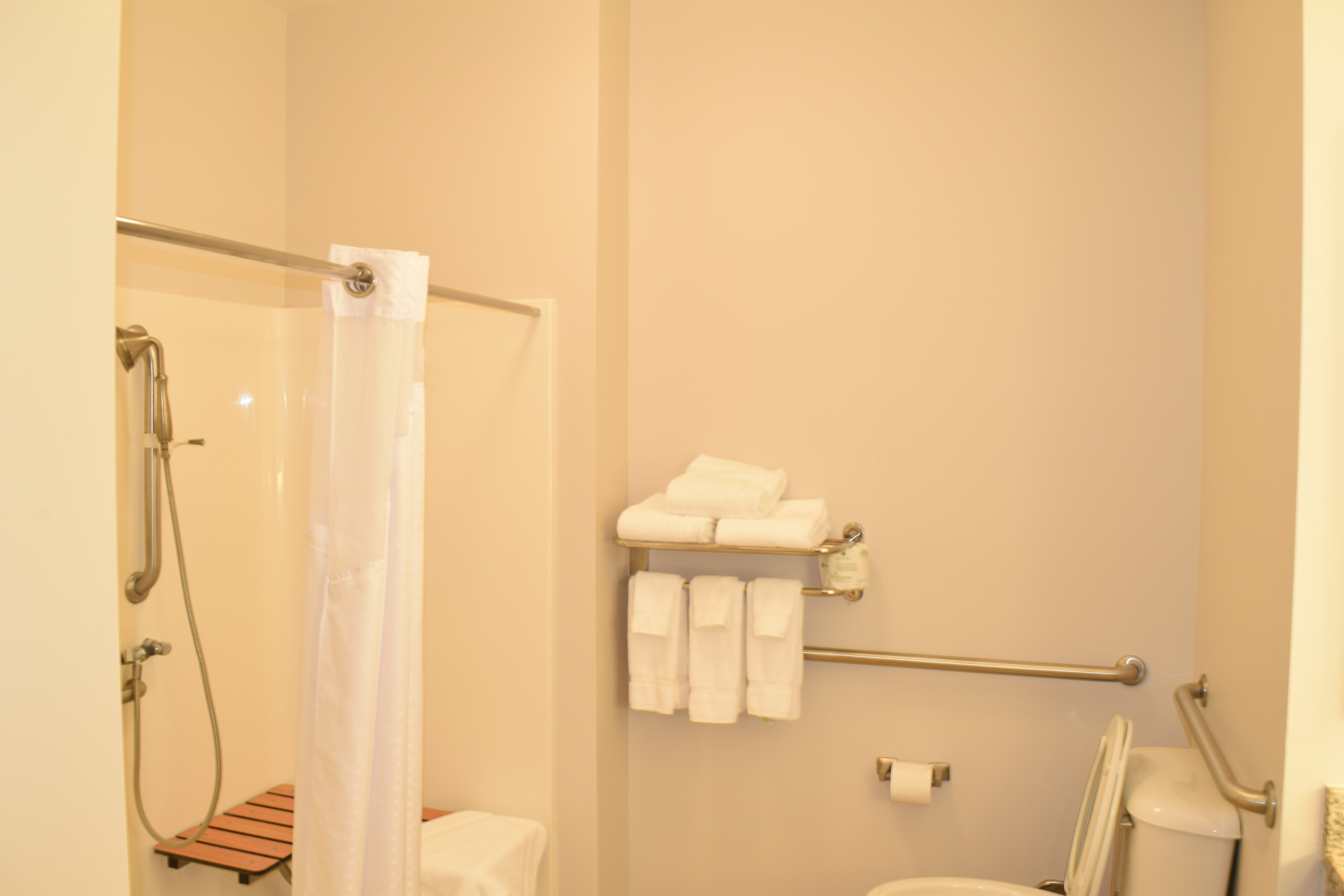 Holiday Inn Express Hotel Suites Sparta 49/49