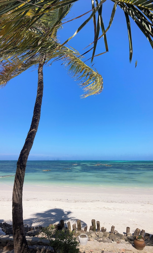 Mango Beach House 39/50