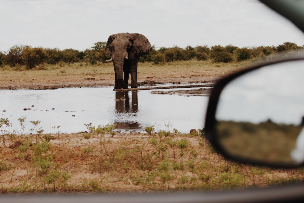 Etosha Safari Camp 31/42