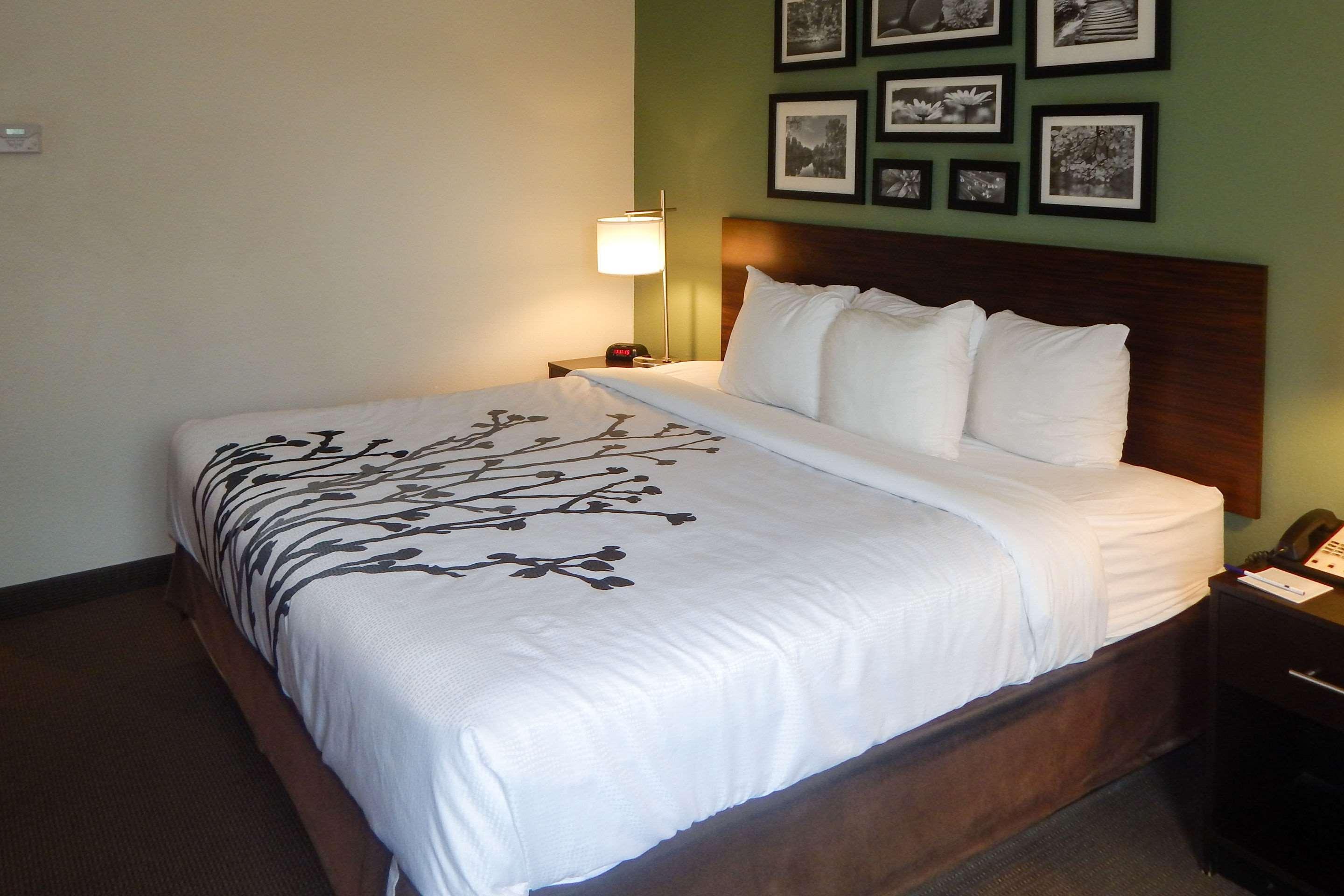 Room, King Bed