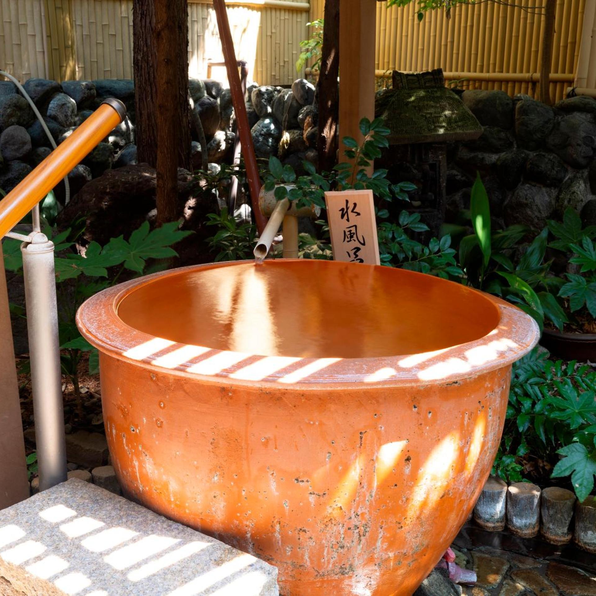 Izunagaoka Onsen Hotel Sun Valley Fujimi 38/53
