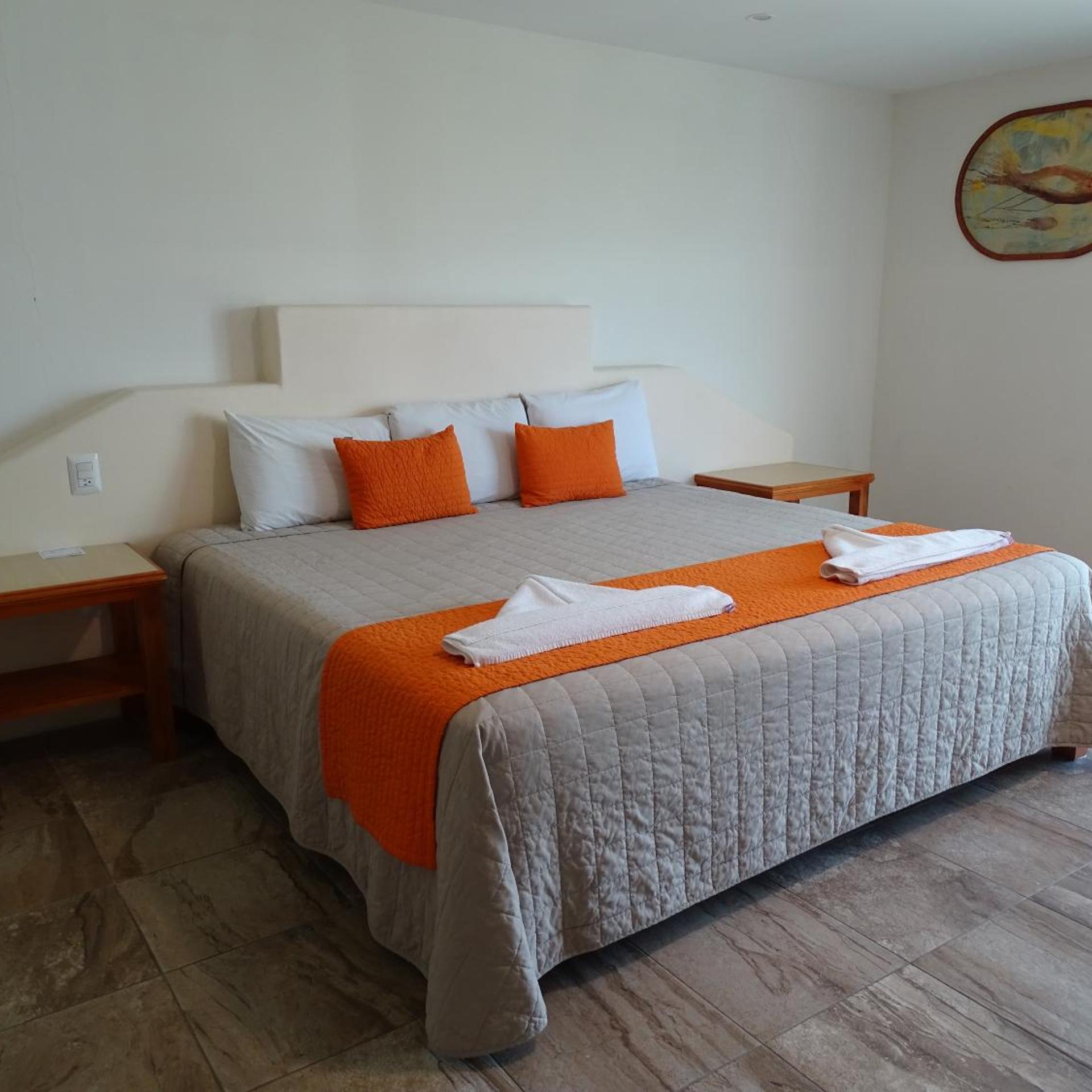 Hotel Palapa Palace 17/50