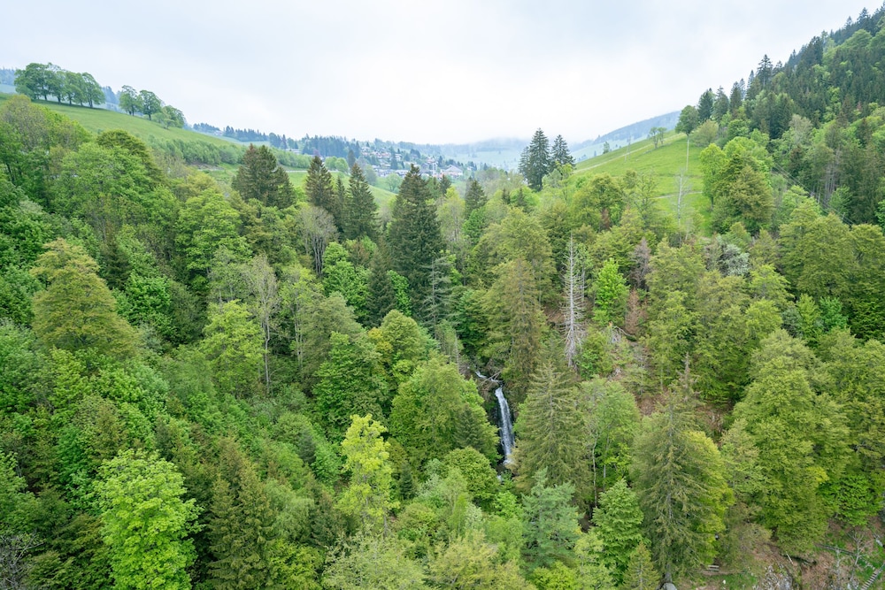 Black Forest Hotel Todtnau 41/50