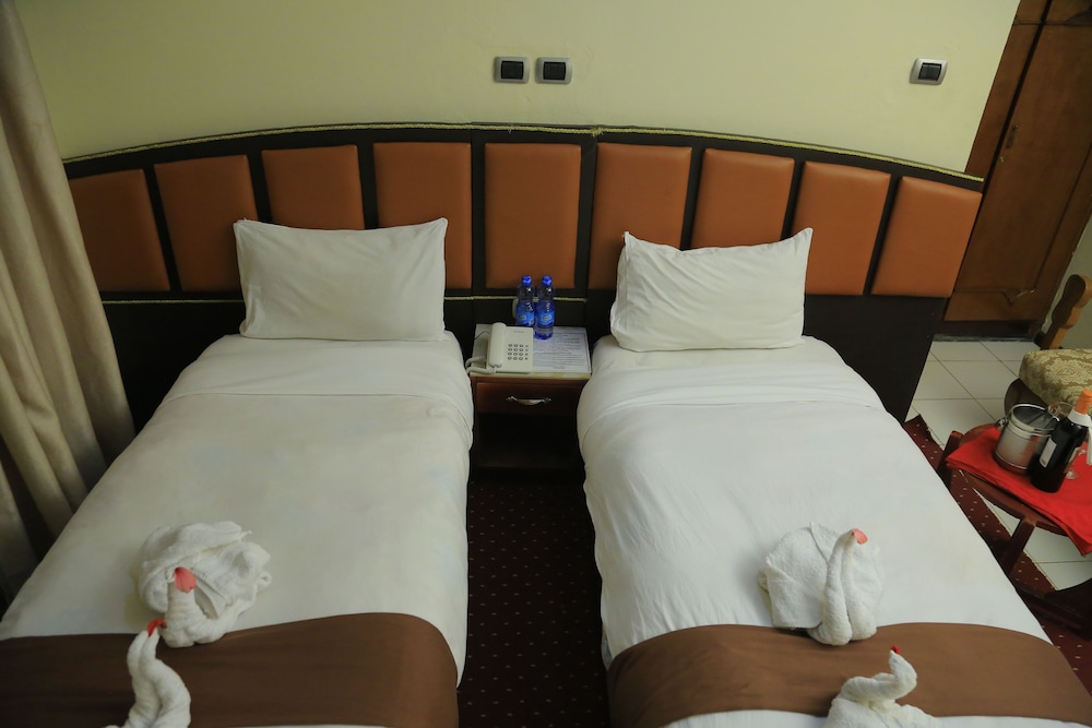 Dib Anbessa Hotel 15/39