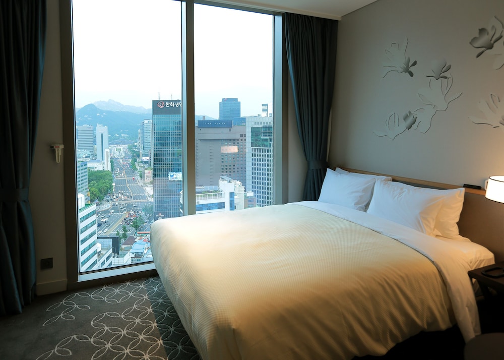 Hotel Gracery Seoul 18/77