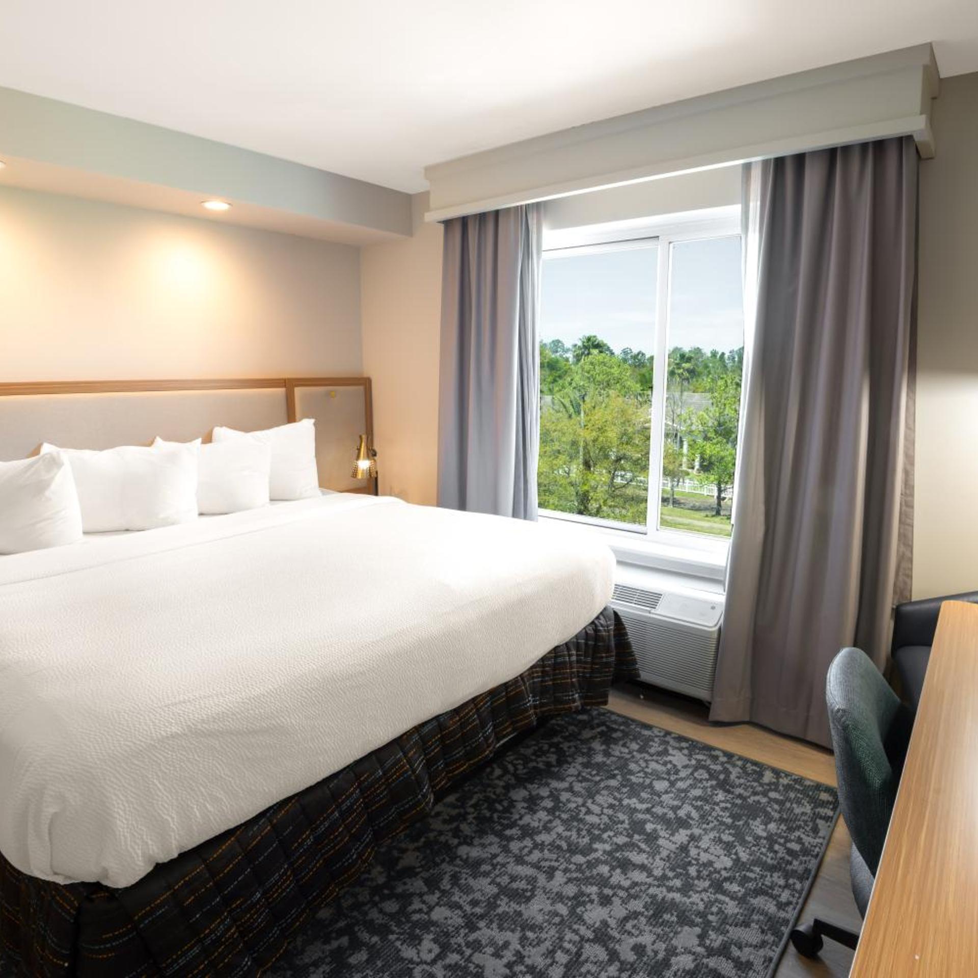 Guest Room, Executive, Suite, King Bed, Sofa, Accessible