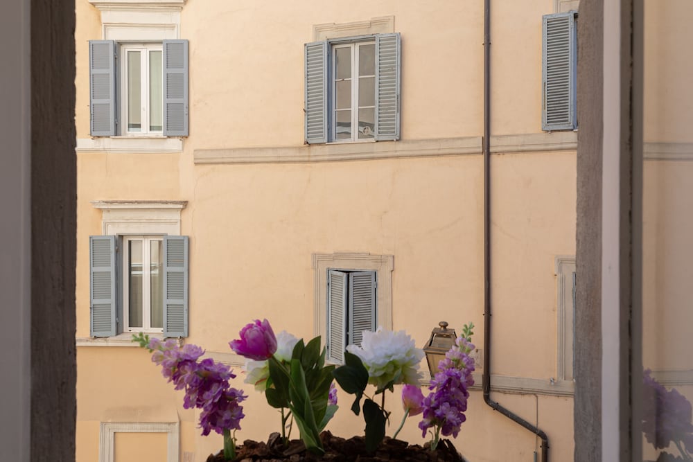 Navona Home 3/50