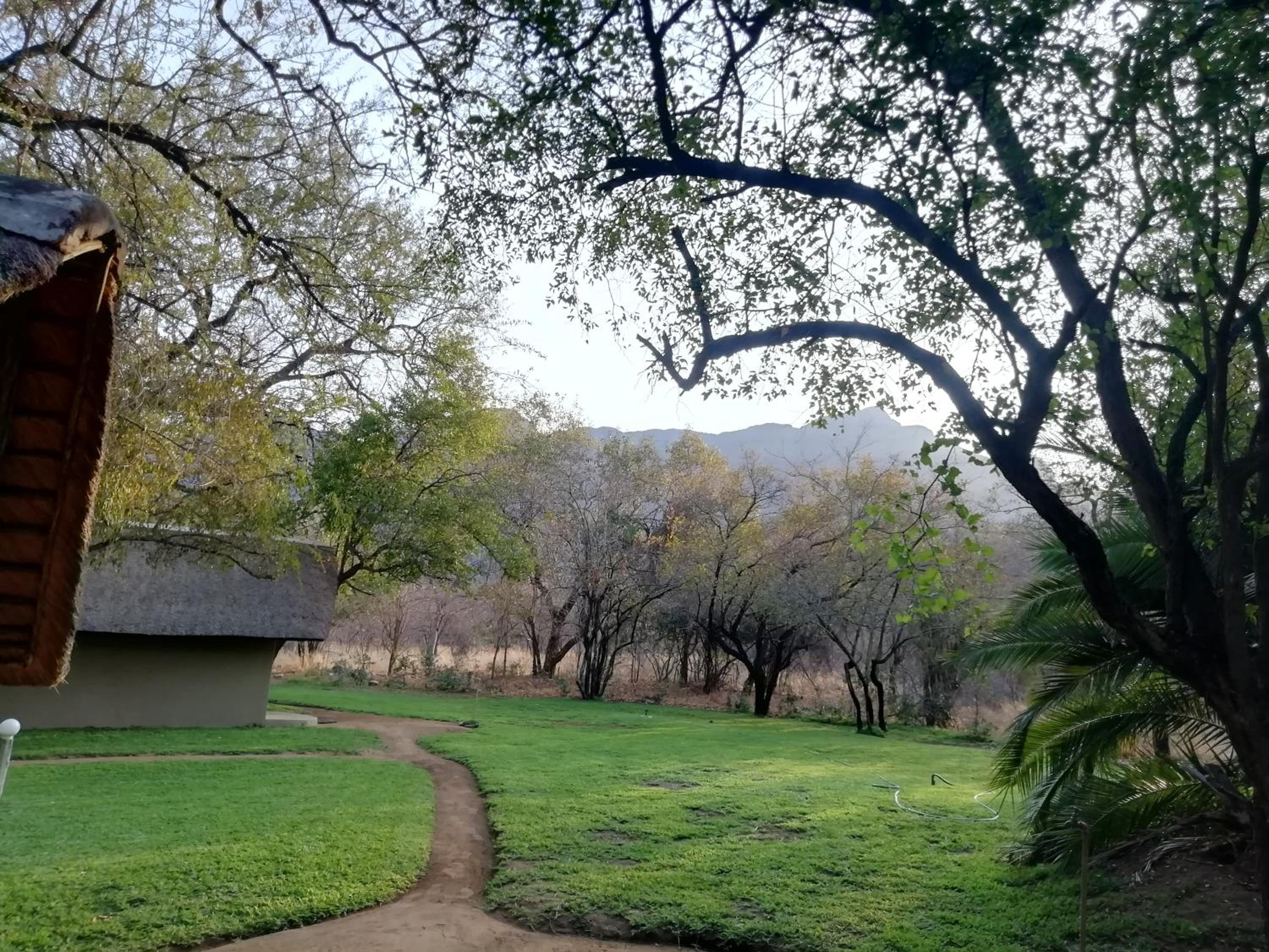 Shumba Safari Lodge 24/50