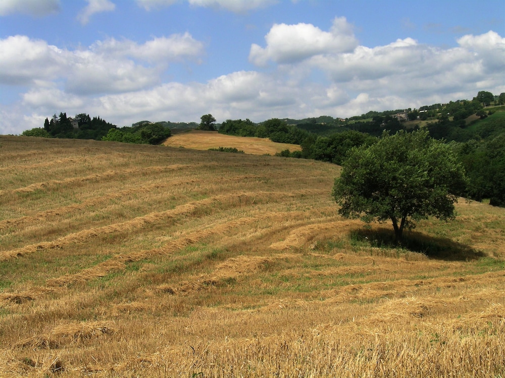 Azienda Agraria Montelujano 24/35