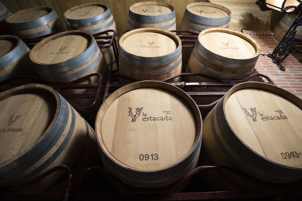 Domus Selecta Complejo Enoturistico Finca La Estacada 28/65