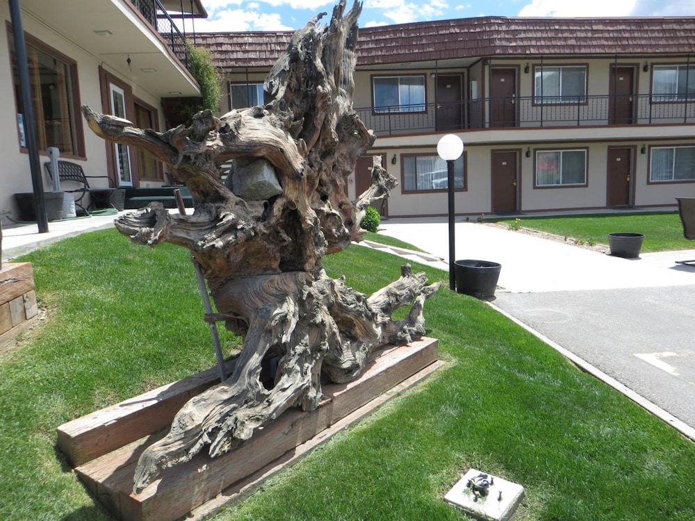 Bristlecone Motel 38/50