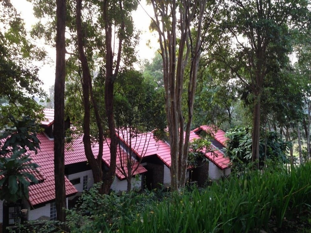 Rabbiz Hill Resort 52/58
