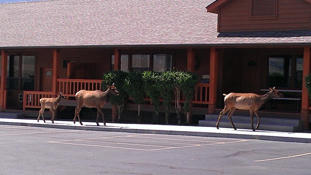 Yellowstone Village Inn and Suites 14/36