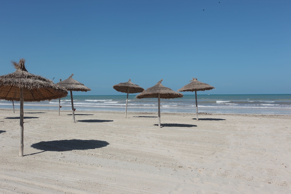 Venise Beach 14/66