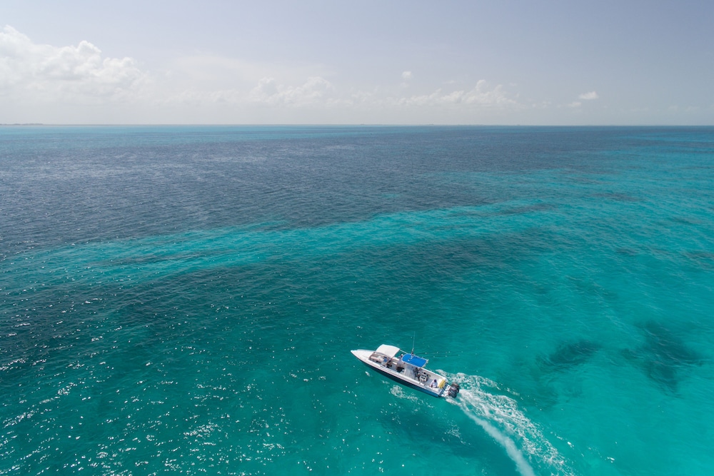 Privilege Aluxes Isla Mujeres - Adults Only 37/68