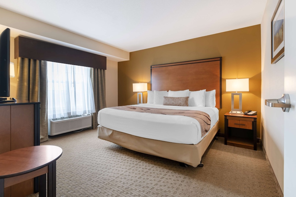 Studio, Suite, King Bed, Large