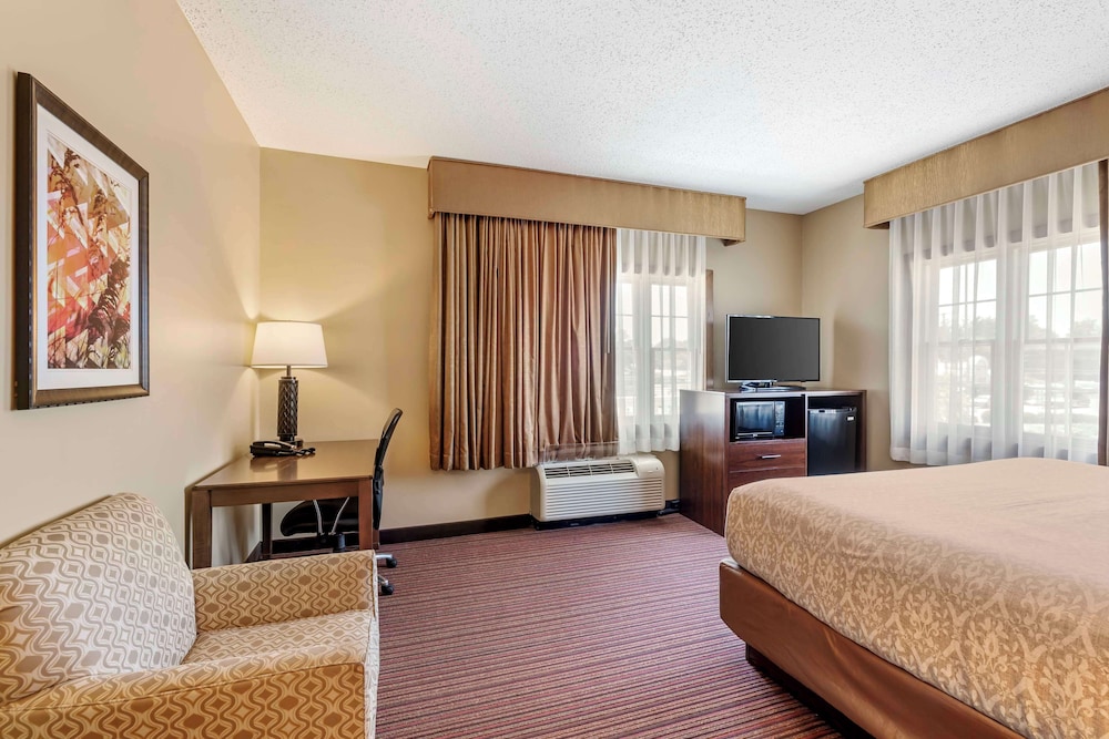 Standard, King Bed, Pet Friendly