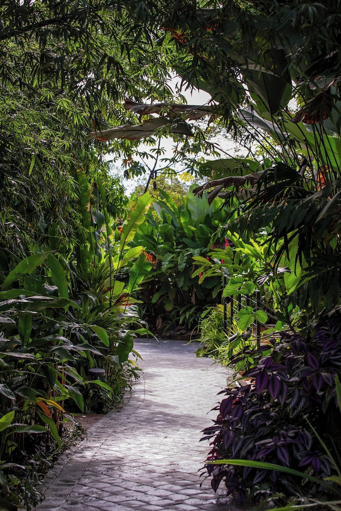 Arenal Manoa And Hot Springs 44/50