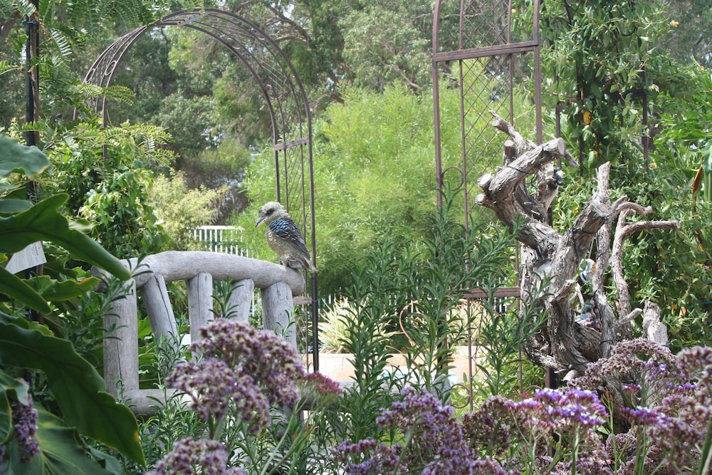Rosebridge House Bed & Breakfast 36/50