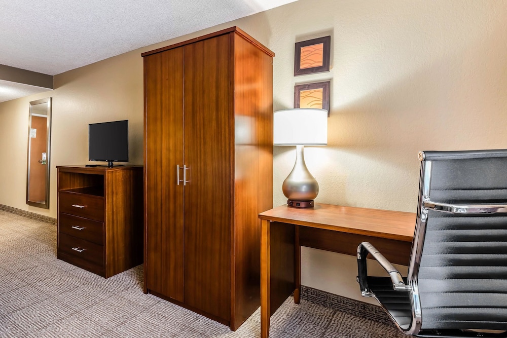 Comfort Inn And Suites Airport American Way 31/42