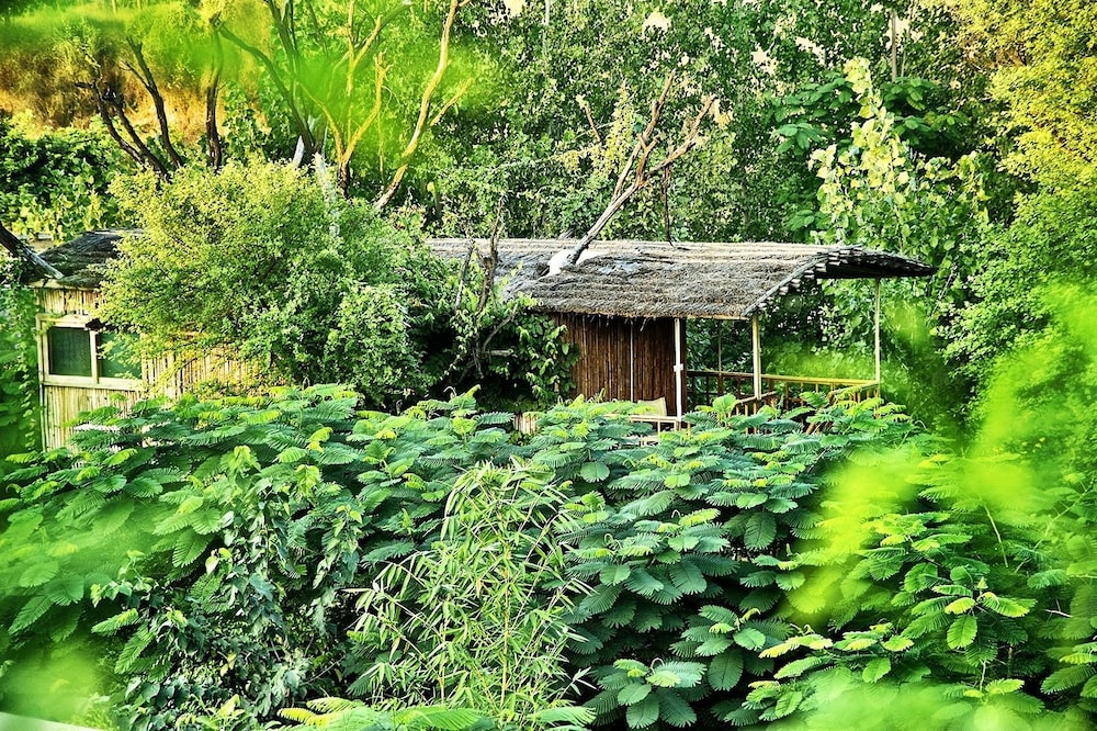 The Tree House Resort 25/35