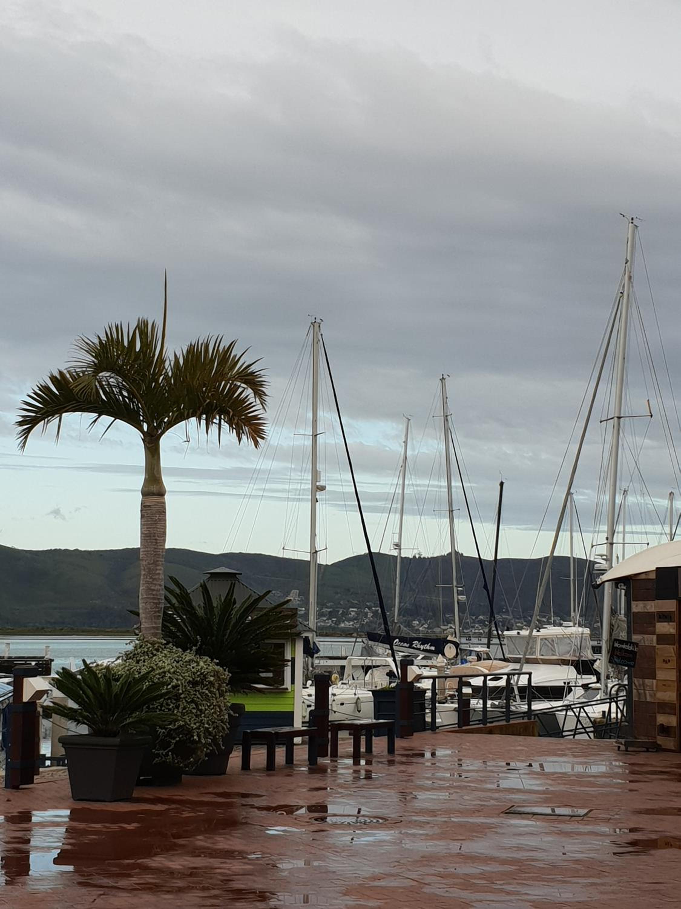 Waterfront - Lagoon Terrace Nr.17 25/35