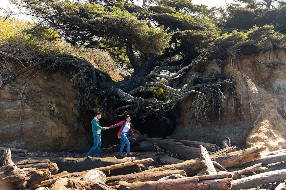 Kalaloch Lodge 21/41