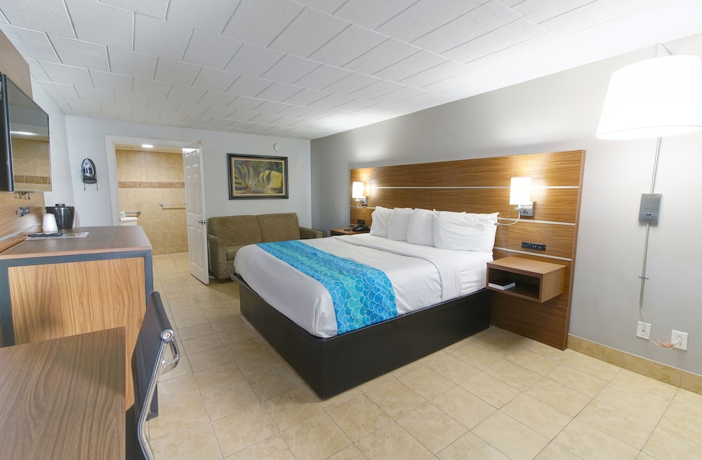 DELUXE, STUDIO, KING BED
