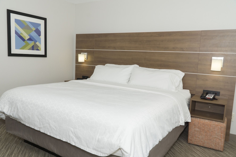 Holiday Inn Express Hotel & Suites Madison 22/60