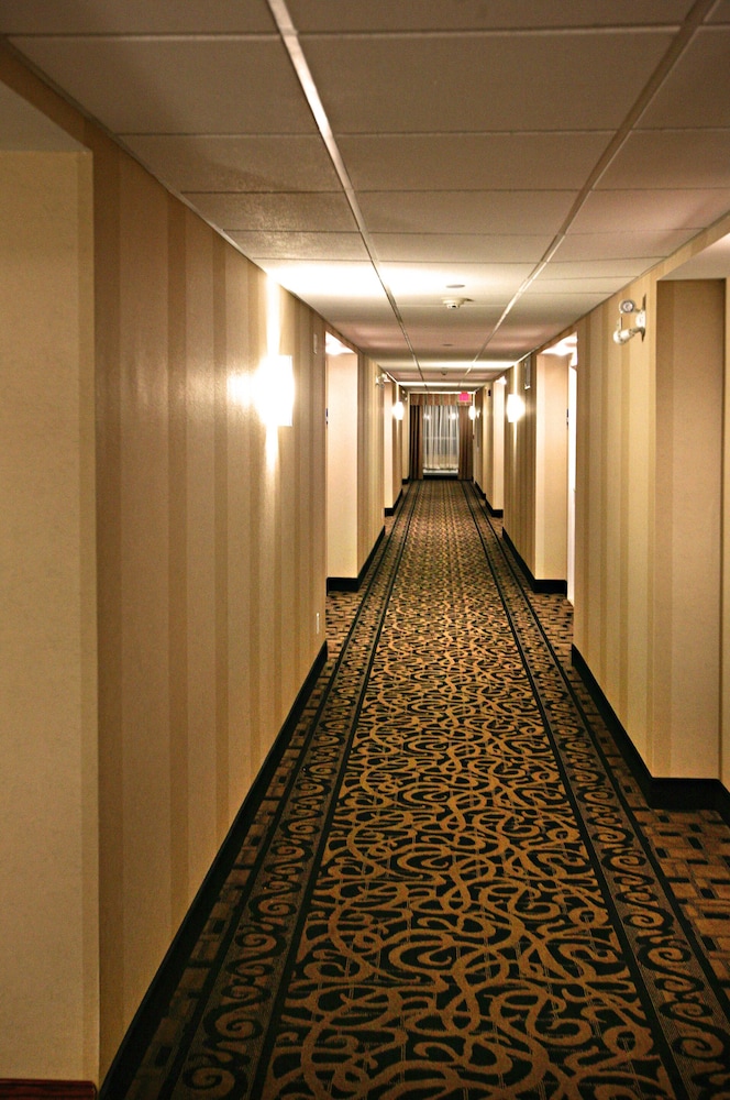 Newmarket Hotel And Suites 44/66