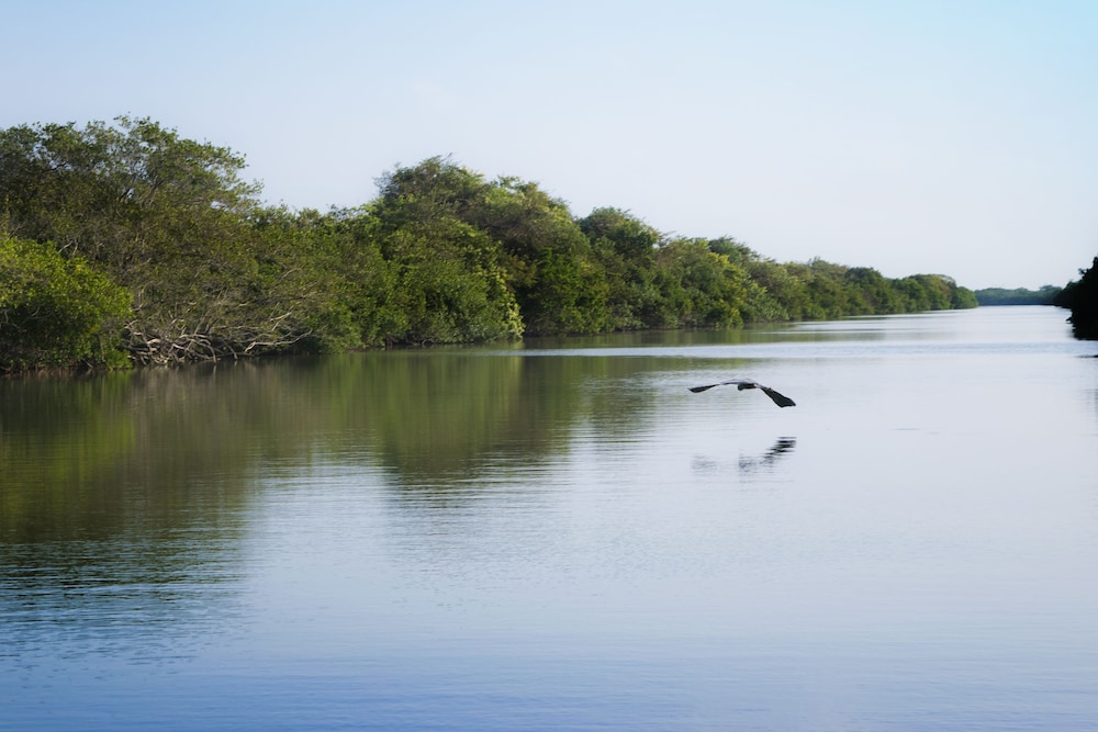 Isla Tajin Beach and River Resort 29/54