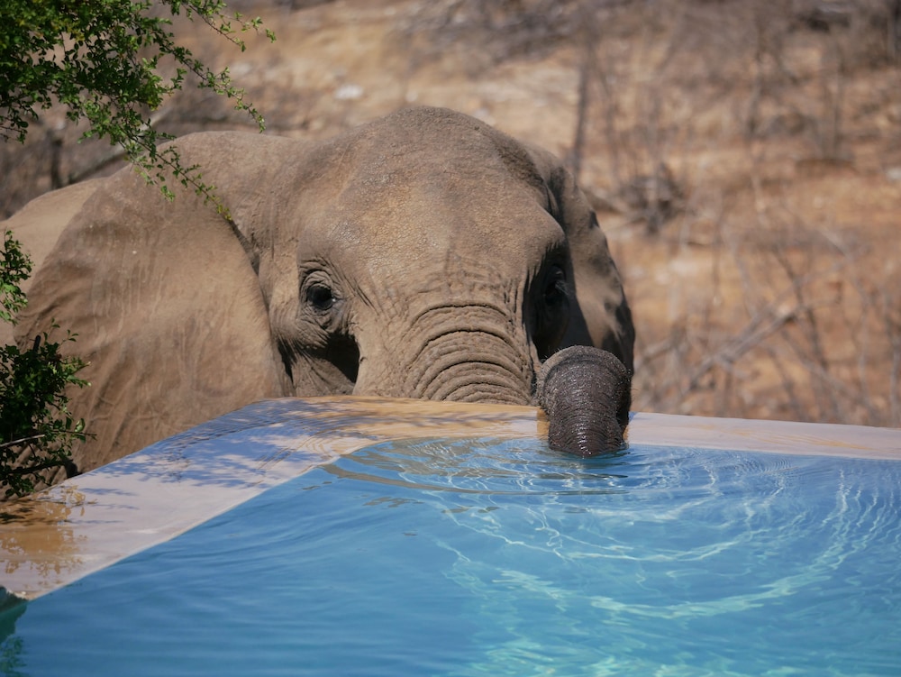 Mbizi Bush Lodge 46/50