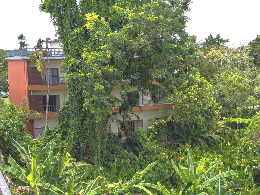 Garden Palace Downtown 4/50