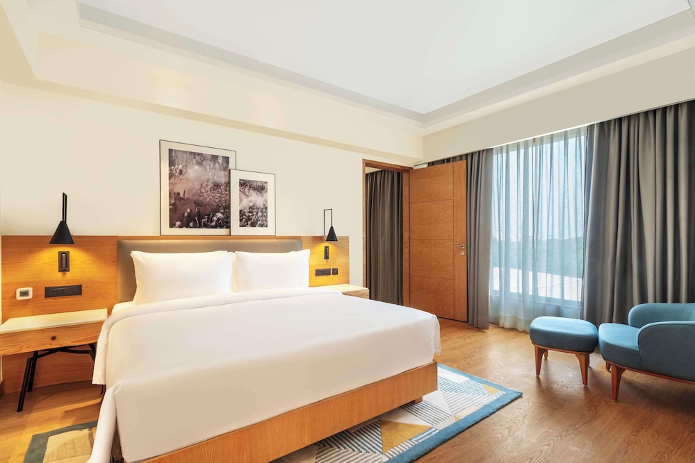 Radisson Hotel Vrindavan 8/50