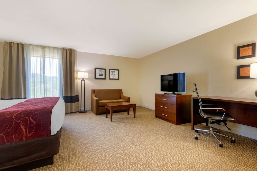 Comfort Inn & Suites Macon West 38/41