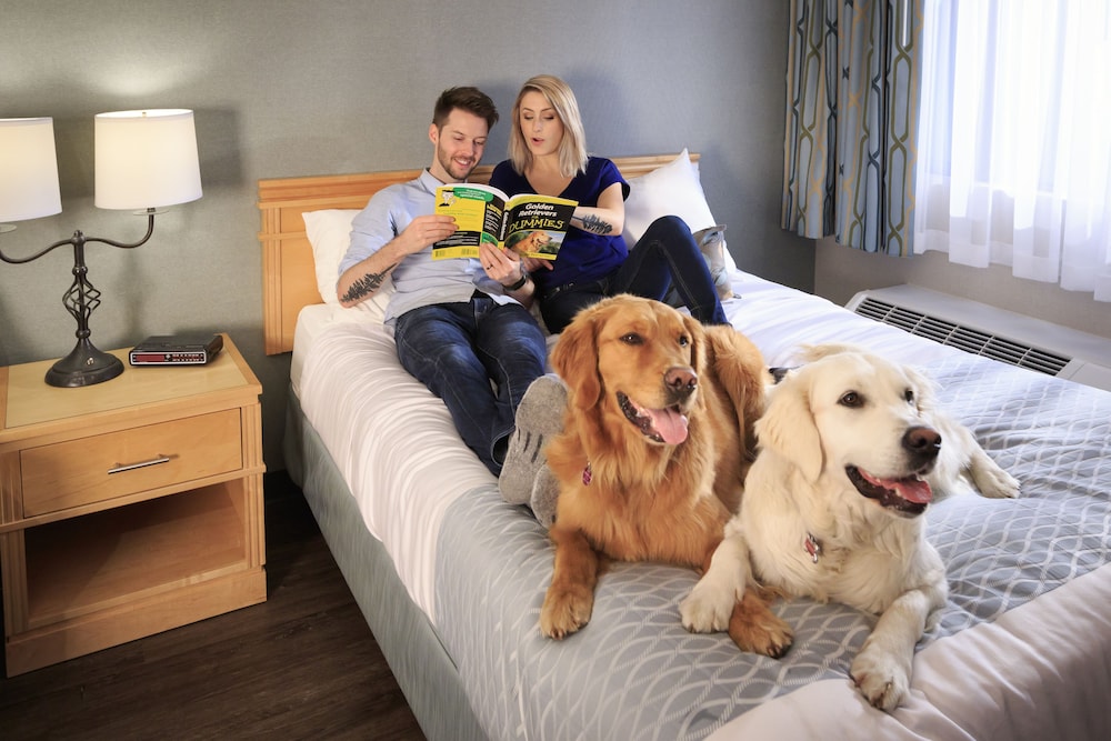 Accent Inns Burnaby 21/40