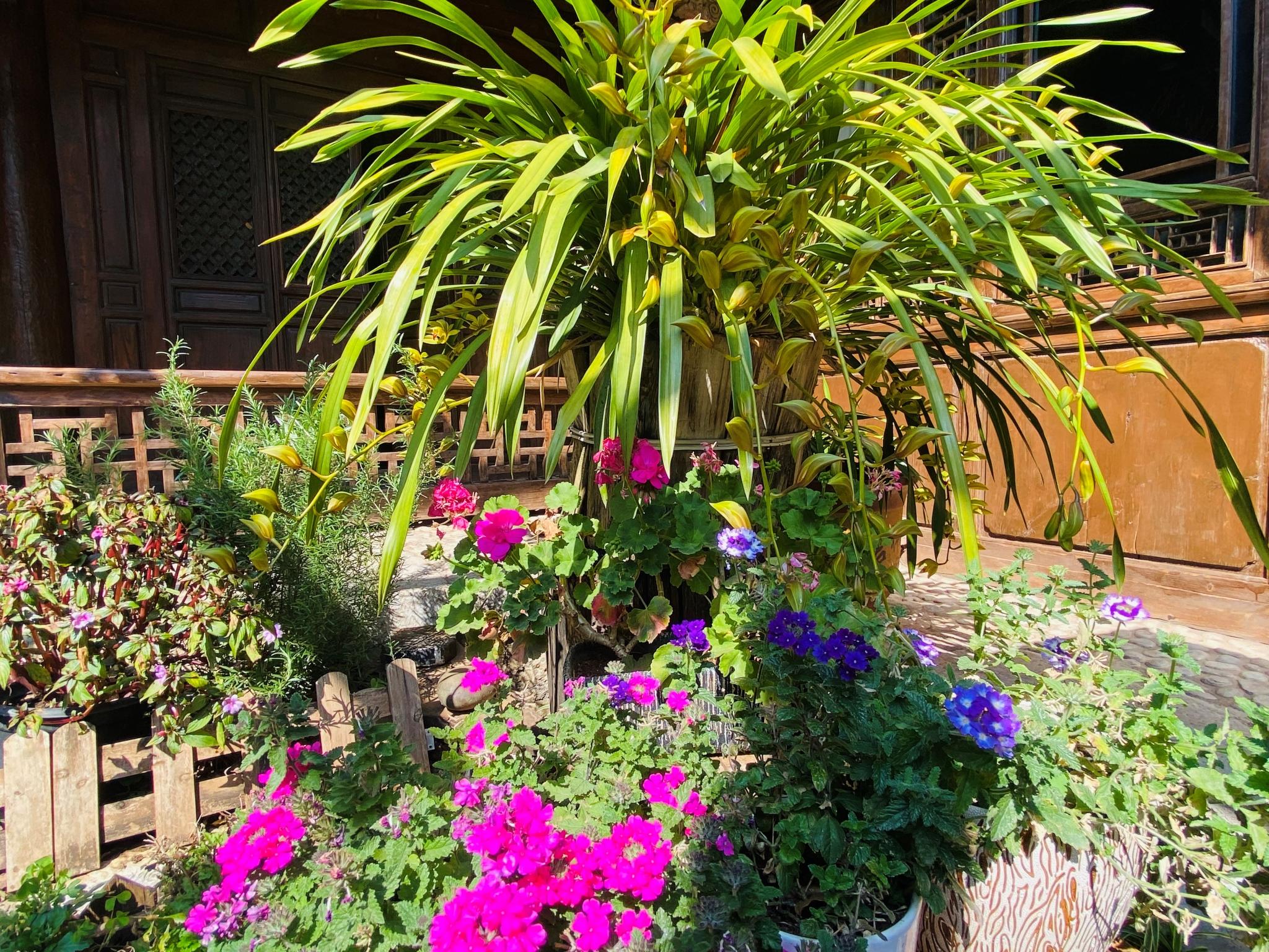 Blossom Hill Inn-Neverland HOTEL 42/50