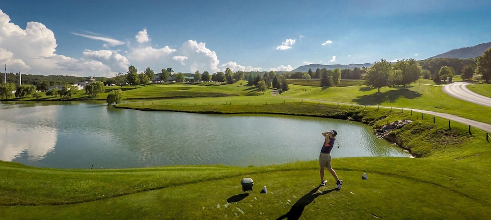 Mountain Villa With Waterpark, Golf, Skiing, Wine Tour Access and More! Massanuttens Shenandoah Vil 47/49