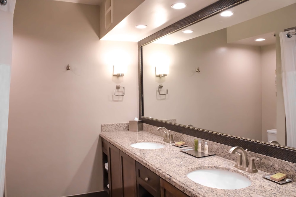 DoubleTree by Hilton Phoenix Mesa 17/69