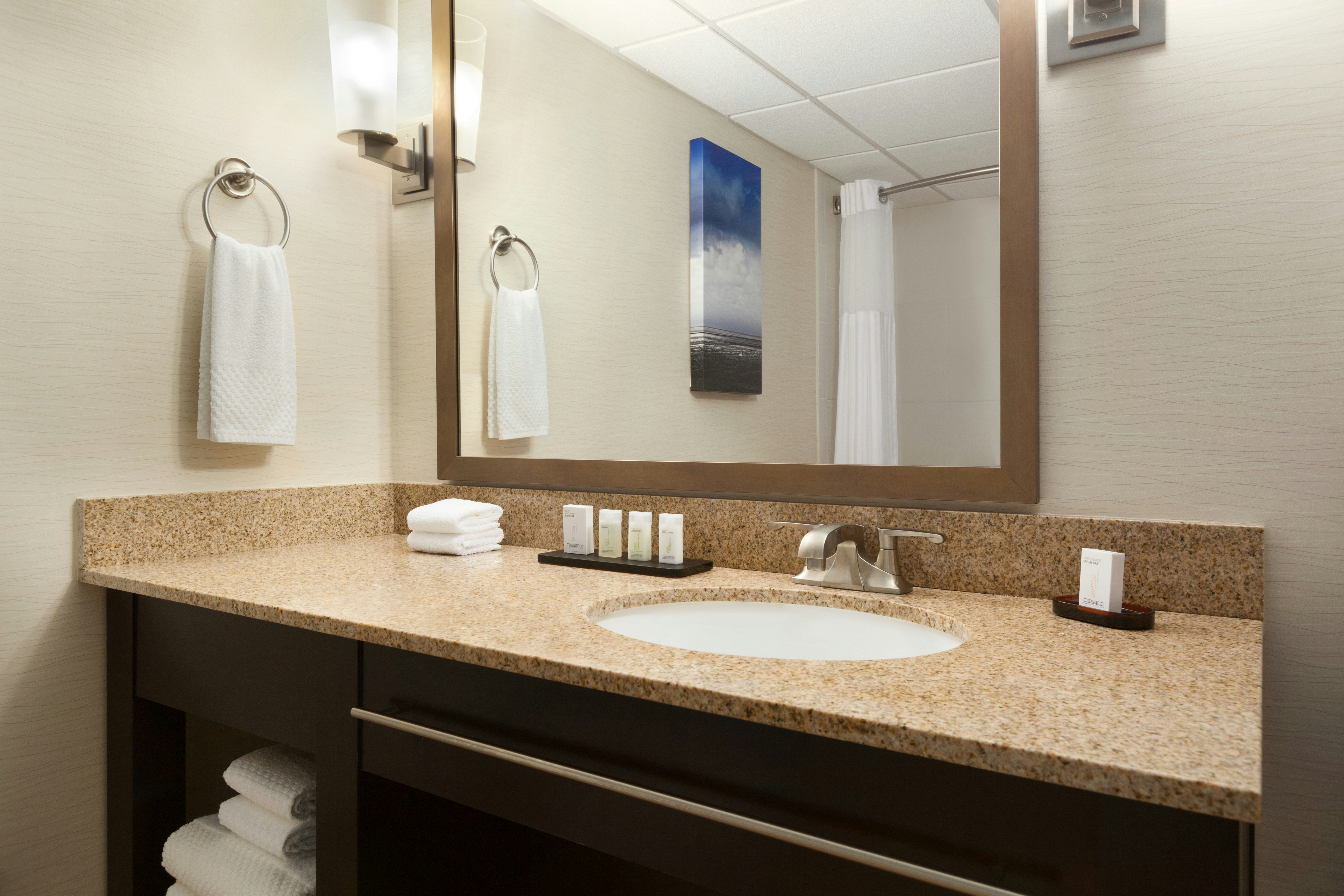 SUITE, KING BED, ACCESSIBLE