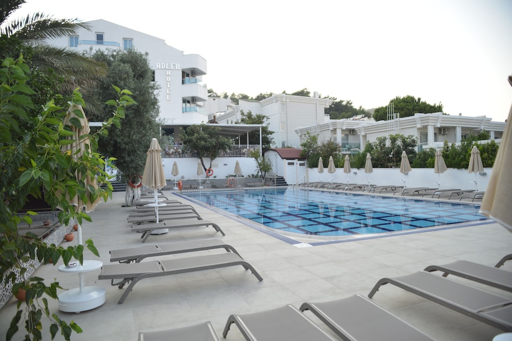 Adler Hotel 43/46