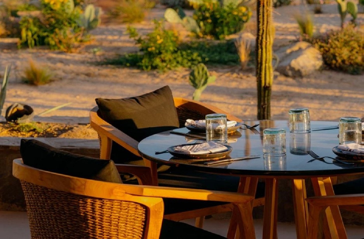 Rancho Pescadero 35/50