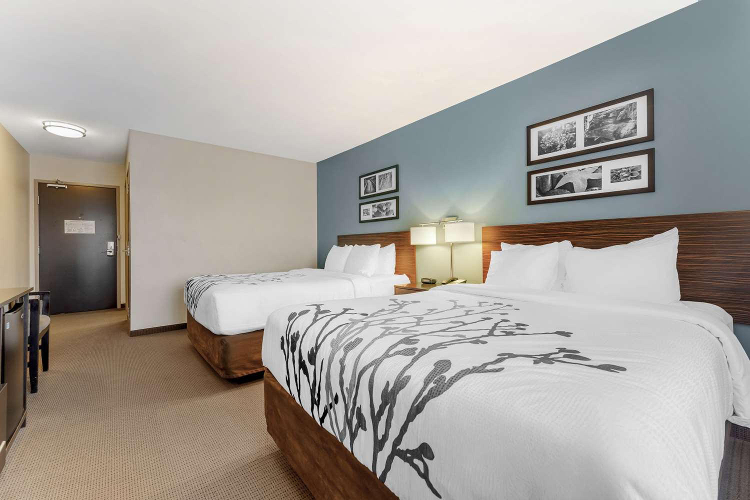 Room, 2 Queen Beds